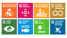 SDGs2