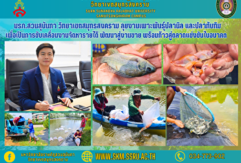มรภ.สวนสุนันทา วิทยาเขตสมุทรสงคราม
ลุยงานเพาะพันธุ์ปลานิล และปลาทับทิม
เพื่อเป็นการขับเคลื่อนงานจัดหารายได้
พัฒนาสู่งานขาย
พร้อมก้าวสู่ตลาดแข่งขันในอนาคต