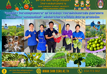 มหาวิทยาลัยราชภัฏสวนสุนันทา
วิทยาเขตสมุทรสงคราม
นำกิจกรรมการเกษตรออร์แกนิคส่งเสริมเป้าหมาย
SDGs